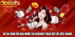 Đề ba càng ăn bao nhiêu